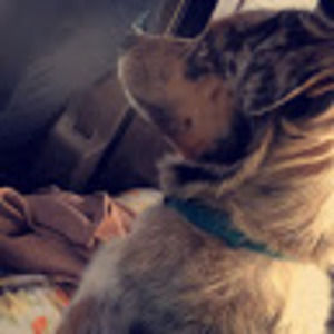 Meet your Posher, Kara